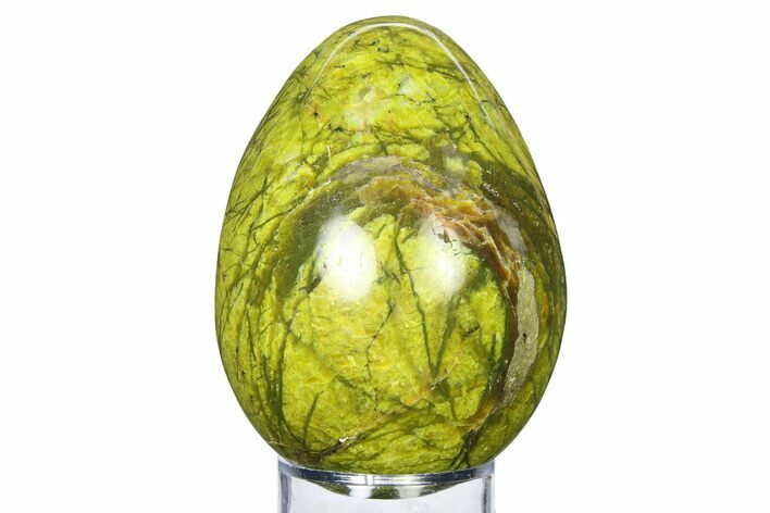 Polished Green Opal Egg - Madagascar #318171